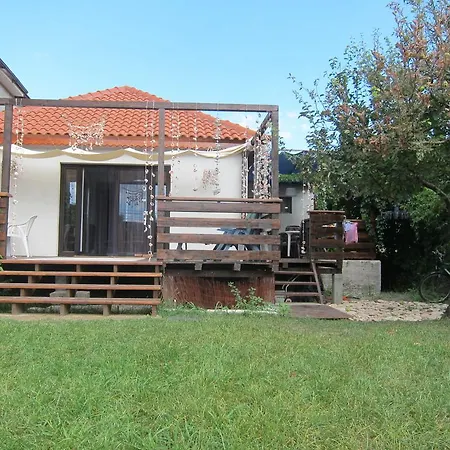 Poloneza * Două Mai